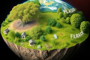 Environment and Its Components Quiz