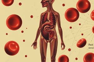 3.3. Blood Components: Plasma and Red Blood Cells