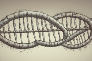 Genetics: Inheritance, Alleles, Chromosomes, and Nucleic Acids