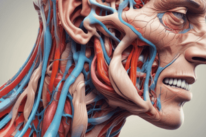 Anatomy of the Cephalic Vein