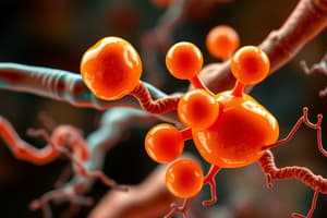 Biochemistry: Lipid Metabolism