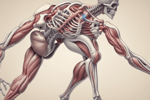 Drugs Acting on the Skeletal Muscle Systems Quiz