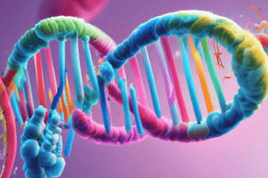 Function of Nucleic Acids