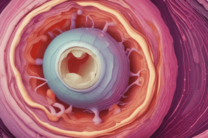 Ultrasound Imaging of Simple Cysts