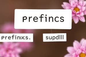 Prefixes and Suffixes Quiz