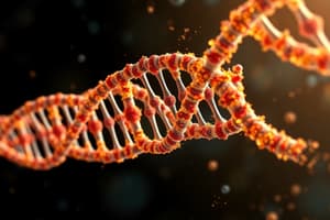 Biology Chapter: DNA Replication and Transcription