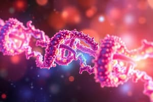 Heterochromatin and Euchromatin Overview