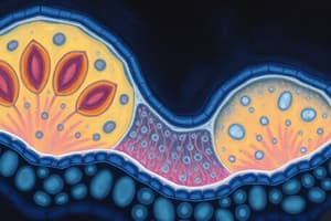 Cell Membrane and Transport Quiz