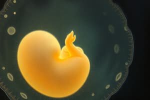 Embryology Basics and Development Quiz