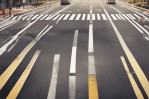 Understanding White Stop Lines and Crosswalk Markings