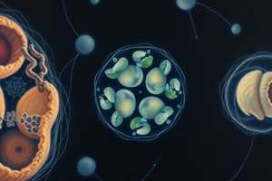 Cell Cycle, Mitosis and Meiosis Overview