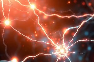 Neuroscienze: Sinapsi e Potenziale d'Azione