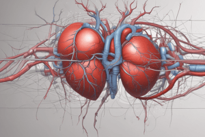 Intro to Cardiovascular System