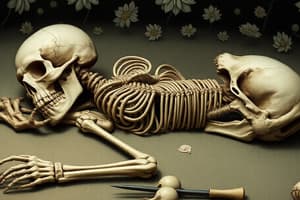 Forensic Anthropology Basics