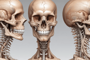 Anatomy LE 2: Embryology of the Musculoskeletal System