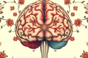 Split-Brain Research: Corpus Callosotomy