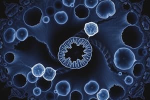 Cell Biology Interphase and Structures