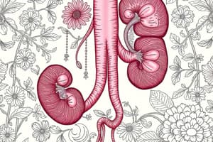 Urinary Tract Obstruction Overview