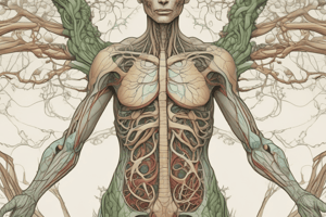 Chapter 21: The Lymphatic System - easy