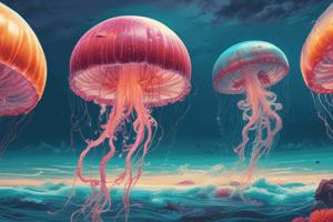 What Is a Jellyfish?