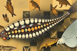 Platyhelminthes, Rotifers, Turbellaria, Trematoda & Cestoda