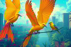 মায়ামির পাখি ও পরিবেশগত সংকট
