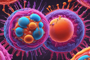 Types of Primary Immunodeficiencies