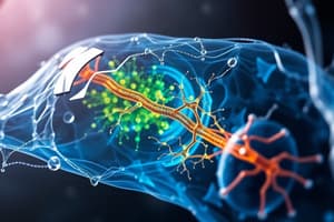 Nucleocytoplasmic Transport Overview