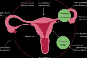 Hormonal Regulation in the Menstrual Cycle