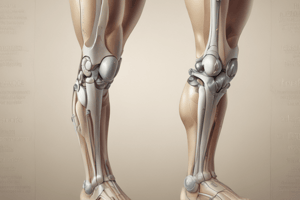 Knee Joints and Dr. Hassan Al-Kazzaz