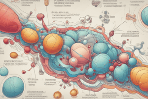 The adrenal hormones