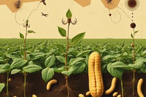 Organic Amendments for Peanut Growth and Nematode Resistance