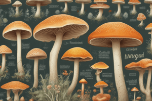 Structure, Reproduction, Classification, and Ecological Importance of Fungi