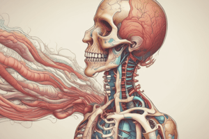 Digestive System I: Oral Cavity and Associated Structures