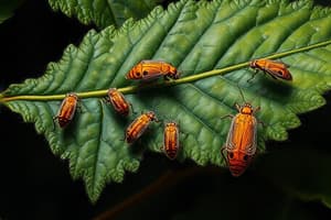 Minadores de hojas: Agromyzidae en Chile