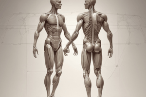 Human Body Tissue Types