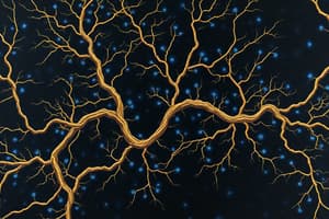 AHE: BLOCK 2: CNS 2 (OF 2): SPINAL CORD & PATHWAYS