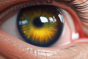 Presbyopia, Cataracts, and Presbycusis Quiz