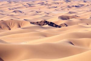 Deserts and Landforms Quiz