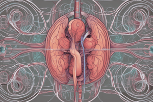 Kidney Structure and Function for Year 1 Dentistry