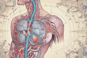 Endocrine System: Part 1 - Vocabulary