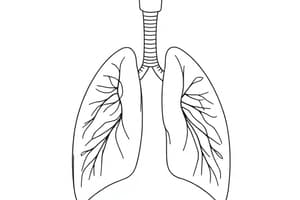 Meccanica Respiratoria e Pressione Polmonare (Fisiologia 45)