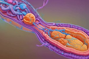 Pancreas Enzymes and Pancreatitis