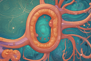 Nephron Region-Specific Metabolic Considerations