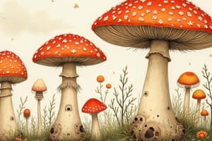 Fungi: Eukaryotic, Heterotrophic, and Hyphae