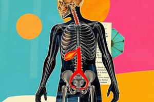 Lactic Acid System Overview