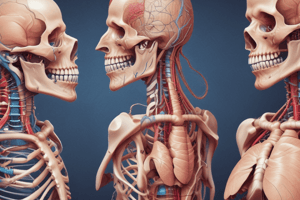 Upper Gastrointestinal Tract: Mouth