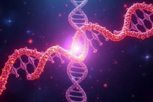 Central Dogma and DNA Structure Quiz