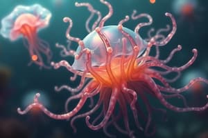 Cnidaria: Features, Body Plans, and Reproduction