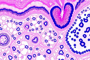 Introduction to Histology Tutorial